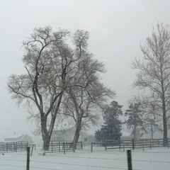 За туманом нічого не видно