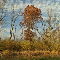 Залишились тільки спогади про осінь