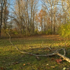 Осінніми стежками