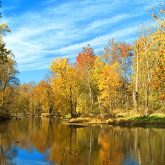 Всі фарби осені
