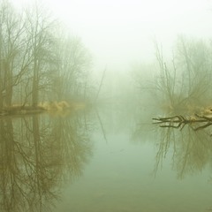 Над рікою стелиться туман І верби мріють в тишині...