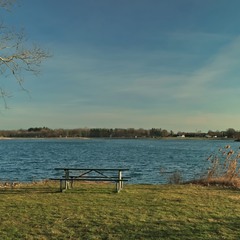 На березі озера... Перші дні весни.
