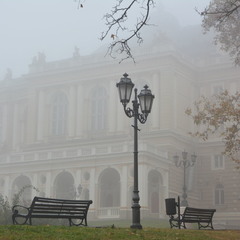 Тишина тумана