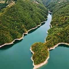 Lake Paltinu. Romania