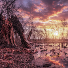 Добрый вечер!