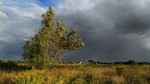 Після грози