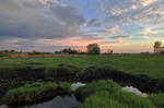 Травень