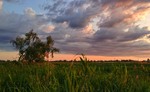 Пізні хмари