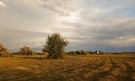 Спекотне літо