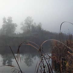 Туман над озером, туман...