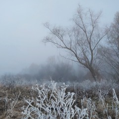 Туманний ранок
