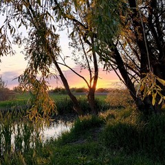 Вечірня прогулянка