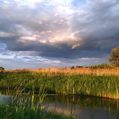 Осяяний берег