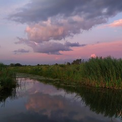 Рожевий вечір біля річки