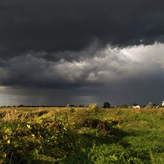 Від літа до осені