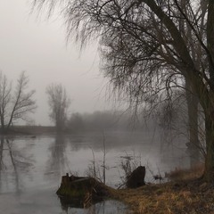 Туман холодний осіда