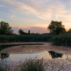 Літній вечір