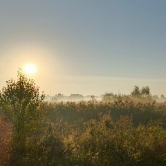 Ранковий туман розвіюється