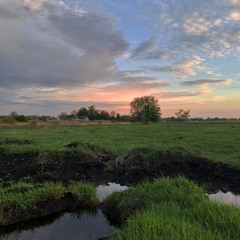 Травень