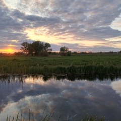 Наприкінці дня