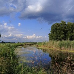 Соковиті кольори літа