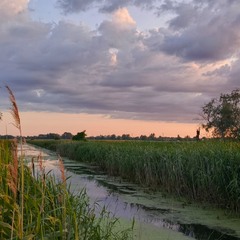 Вечір біля річки