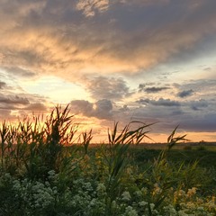 Вечірня драма
