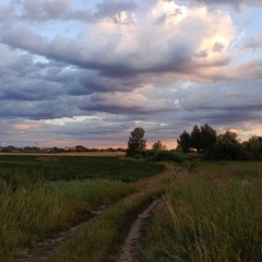 Вечірня прогулянка