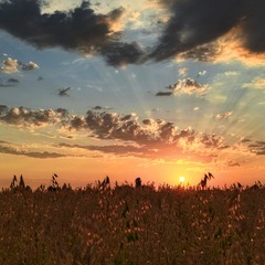 Світло переможе темряву