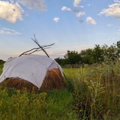 Із запахом полину