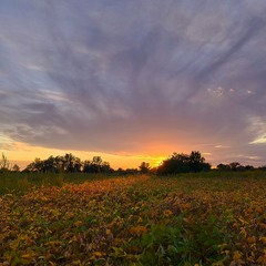 Вже літо догорає