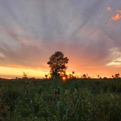 На заході літа