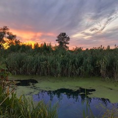 На заході літа