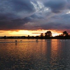 Вечірній злет