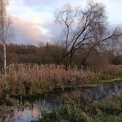 На початку листопада