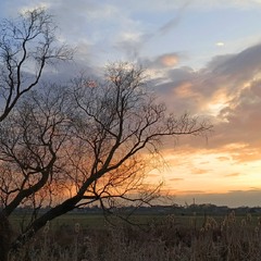 Динаміка квітня