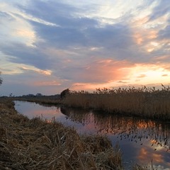 Розмашистий пензлик квітня