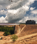 пора у вирій вже збиратись, летіти десь за небокрай