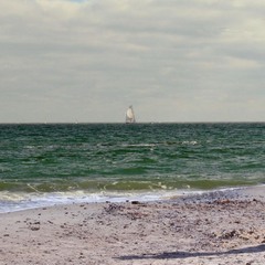 Фотограф и  Море  )