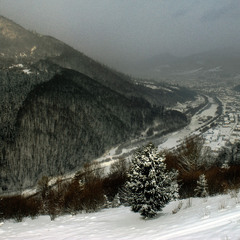 Міжгір'я (Закарпатська область)