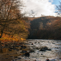 Гірська річка-це є диво, чиста,лагідна та мила.