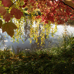 спогади про осінь