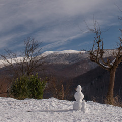 Зимова фантазія