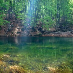 Лісове озеро з талою водою
