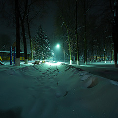 Снежная ночь