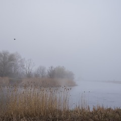 рядом с рекой туман