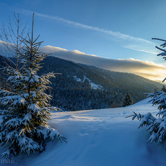 Winter morning in the Carpathian mountains