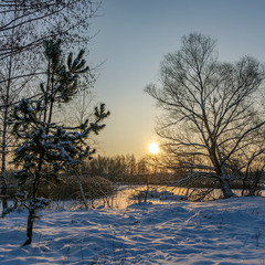 Зимовий світанок