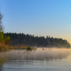 Ранковий туман над водою
