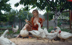 The Ugly Duckling